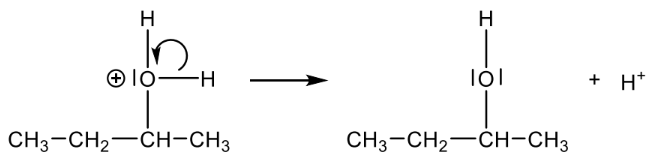 Protonierung eines sekundären Alkohols (CH3-CH2-CH(OH)-CH3) dargestellt mit Pfeilen, Reaktionspfeil und freiem H+.